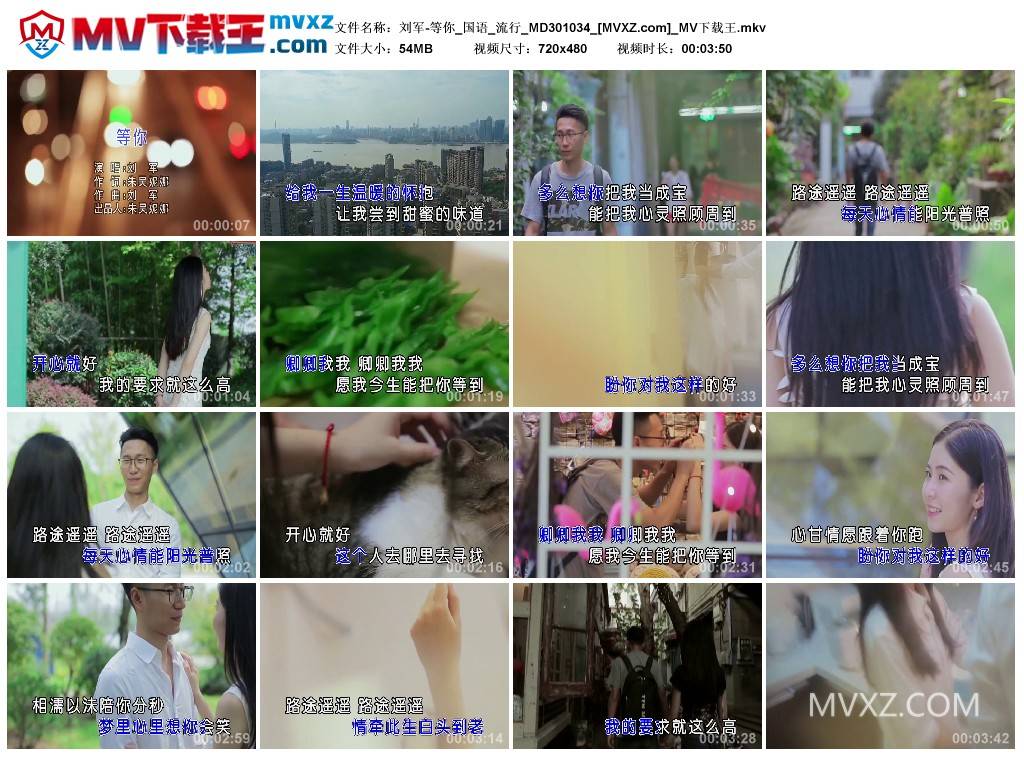 刘军-等你_国语_流行_MD301034